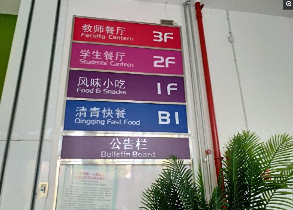 镜头下清华大学的食堂，这样的价格什么水平？