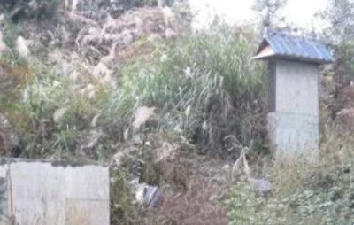 ​坟地出现这4种异象会遇贵人（坟头开花是吉兆）