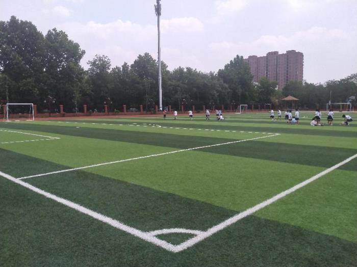 给老师的一封信300字（给老师的一封信）