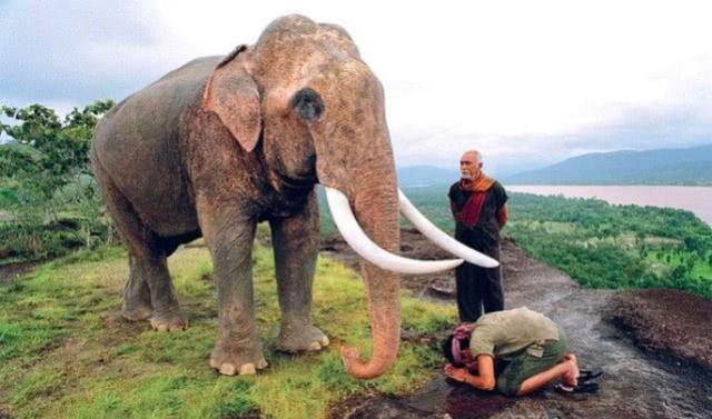 他是中国最有名的泰国巨星，14年前拍出的电影，惊艳了整个世界