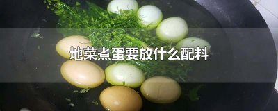 ​地菜煮蛋要放什么配料