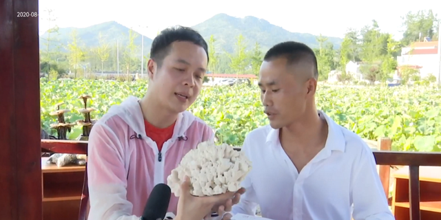 何苗视频在线观看(何苗吻戏视频) 何苗 第6张