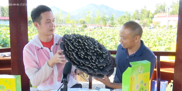 何苗视频在线观看(何苗吻戏视频) 何苗 第4张