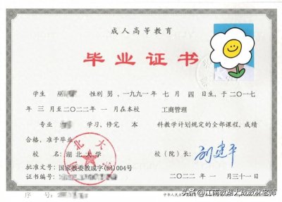 ​专科和本科之间的差距在哪里？