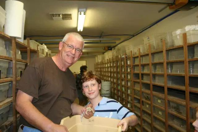 豹纹守宫品种从小到大（肆养学出品拥有迷人体色）(7)