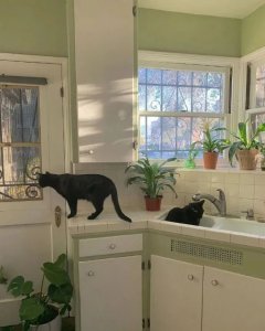 ​现实向文，《相思长梦河》《不可撤销》《晴翠接荒城》