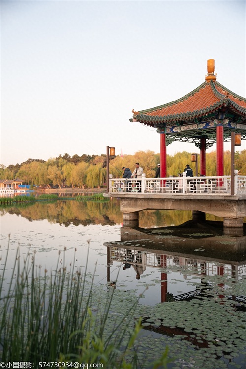 最美公园：长春市南湖公园（风景篇）