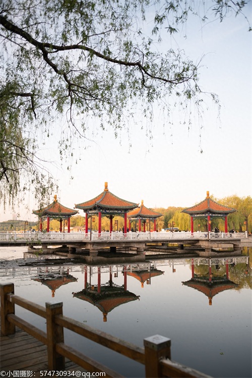 最美公园：长春市南湖公园（风景篇）