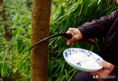 ​重庆土家族的民风民俗（土家族的风俗有哪些）