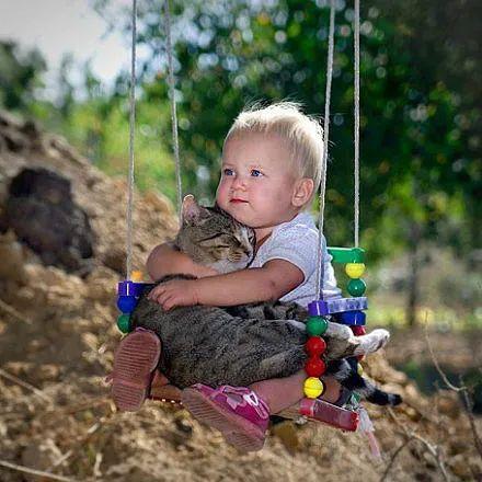 外国人永久居留管理条例你看了吗（外国人永久居留管理条例）(10)