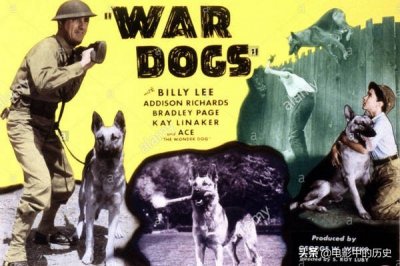 ​十部关于狗狗的战争电影，战争连狗也不可避免