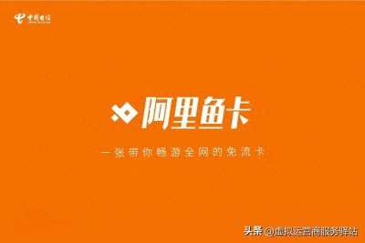 ​深入了解阿里大鱼卡：电子商务时代的通信新选择