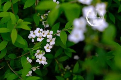 ​老公出轨挽回后还会有爱吗，出轨老公回归家庭