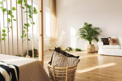 ​雪片莲怎么养