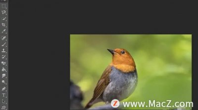 ​ps图层蒙版的使用方法（ps图层蒙版的使用方法,换天空）