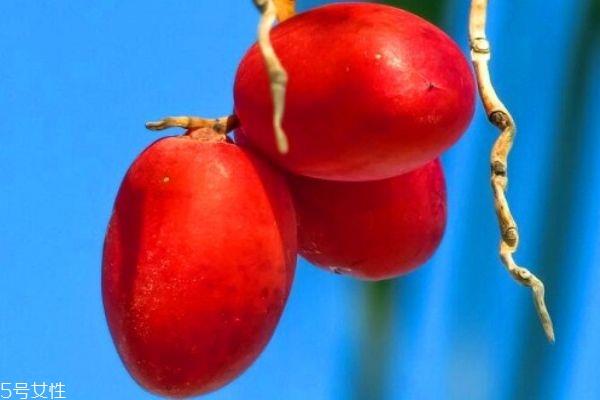 椰枣的营养价值 椰枣的食用禁忌