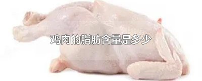 ​鸡肉的脂肪含量是多少