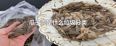 ​瓜子壳是什么垃圾分类