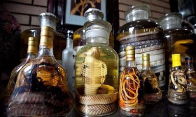 ​江苏洋河产的海蓝之星_江苏省洋河镇海蓝之星52度酒价格表