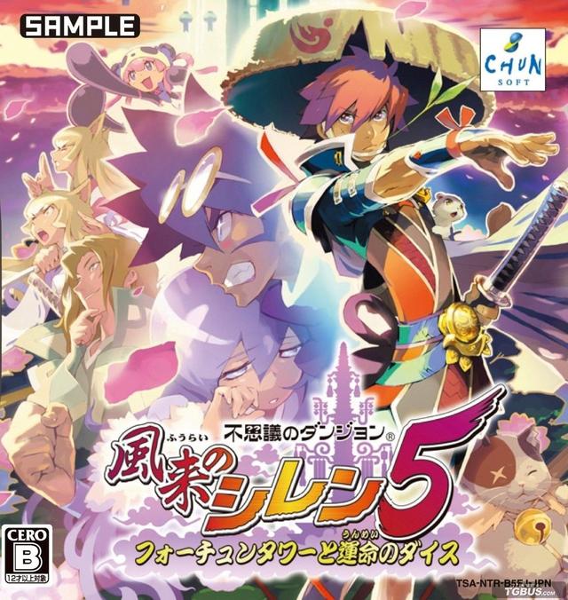 10大nds游戏（我心目中的好游戏）(10)