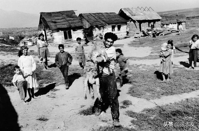 流浪大师基本情况（流浪大师二）(7)