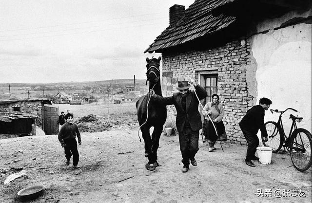 流浪大师基本情况（流浪大师二）(13)