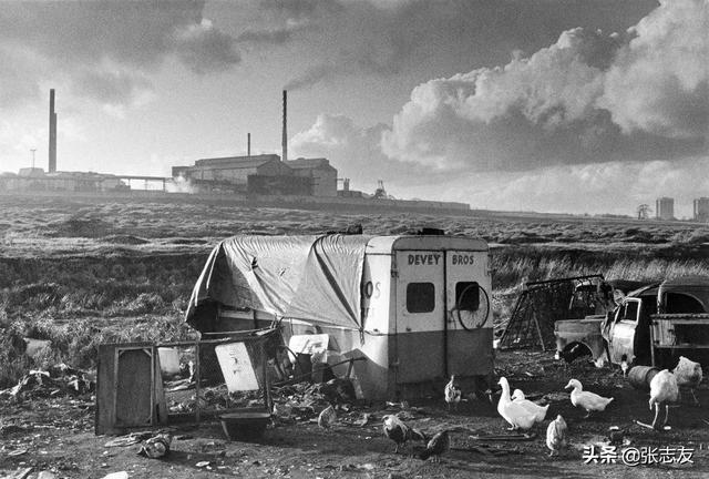 流浪大师基本情况（流浪大师二）(19)