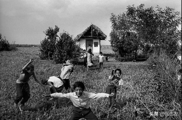 流浪大师基本情况（流浪大师二）(17)