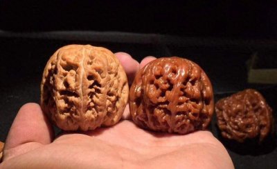 ​文玩史上最贵的五大核桃，你知道几个？