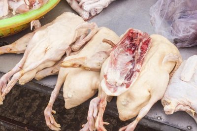 ​正宗清炖老鹅汤的做法，清爽不油腻