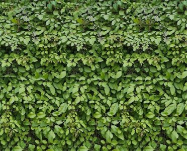 ​三维立体画是怎么制作的