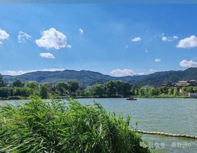 ​一个人磁场干净的10个表现，看看自己有几个