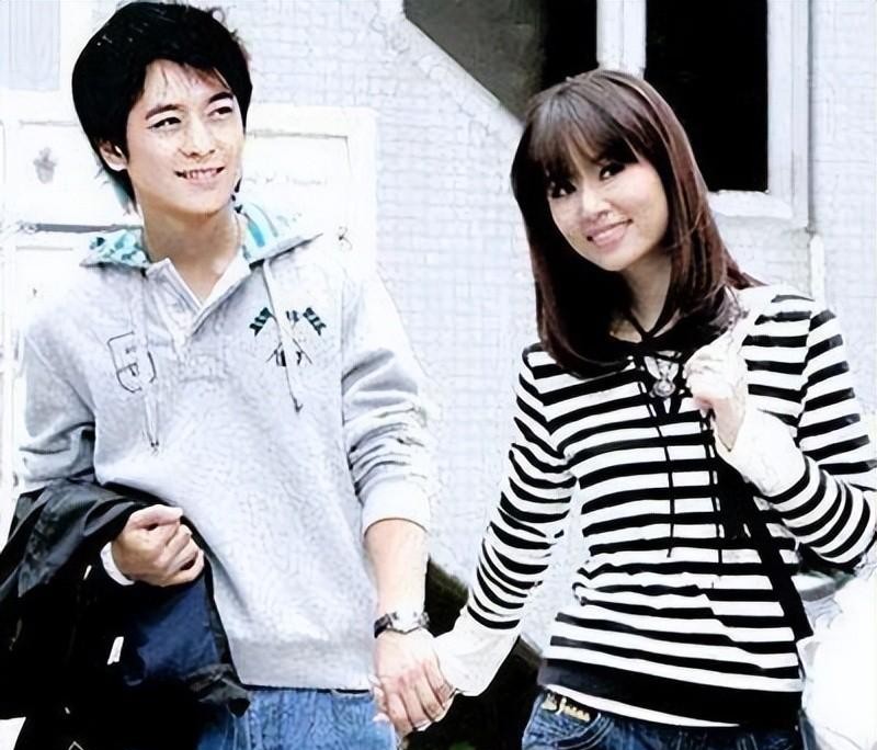 林心如林志颖电视剧（林心如林志颖电视剧简介）