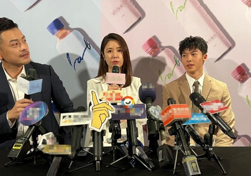 林心如林志颖电视剧（林心如林志颖电视剧简介）