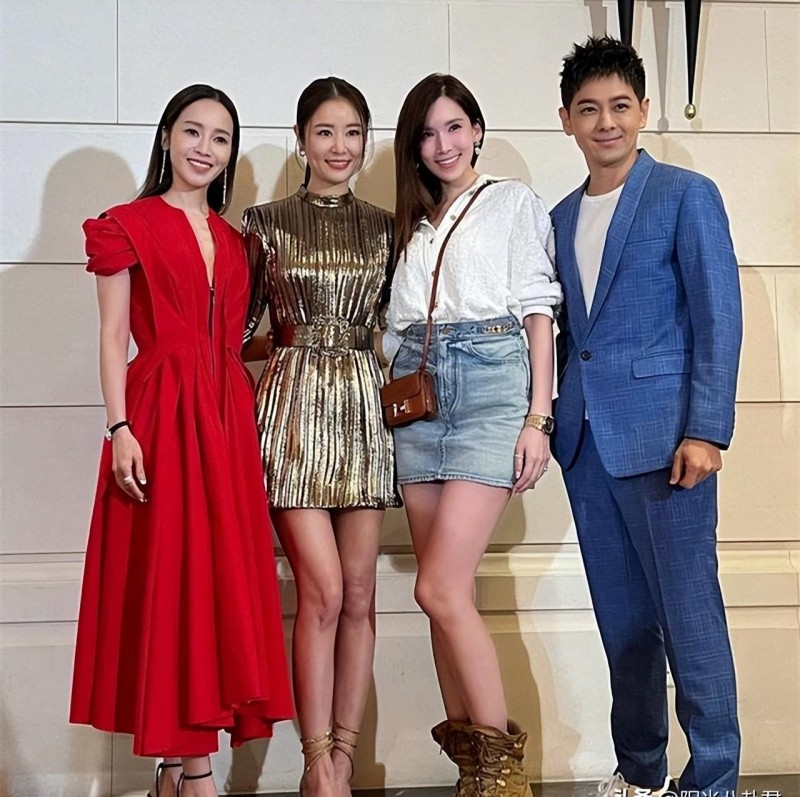 林心如林志颖电视剧（林心如林志颖电视剧简介）