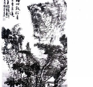 ​男子放生乌龟，多年后全家遇难，乌龟现身帮他逃过一劫