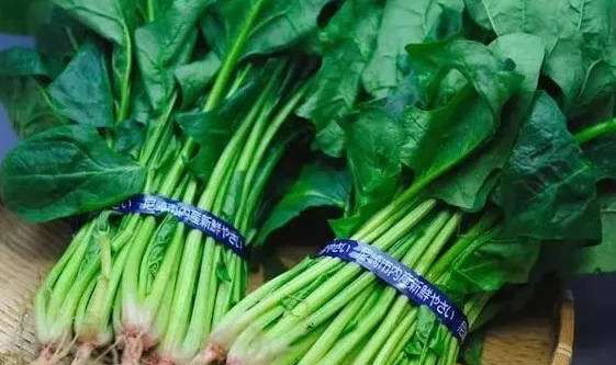 吃菠菜有什么好处,吃菠菜对身体有什么好处和坏处图9