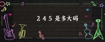 ​245是多大码(245鞋码是多少码的鞋子)