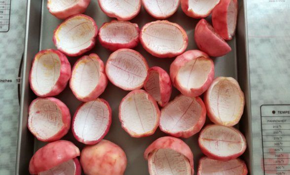 百香果皮可以直接吃,百香果的皮能吃吗?它怎么吃法图5