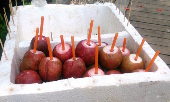 百香果皮可以直接吃,百香果的皮能吃吗?它怎么吃法图3