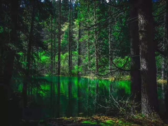 哪个航班能看到九寨沟（重庆九寨沟7月16日复航）(9)