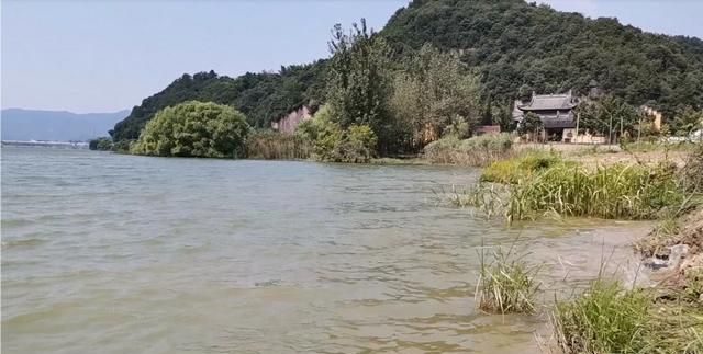 东山再起是谁，入幕之宾东山再起，形容的是谁？图8