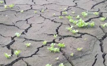 2025年财神方位在哪个方位 2025年全年财神方位查询表