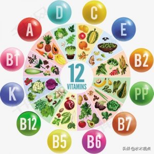 ​让生命之树常青-维生素的发明