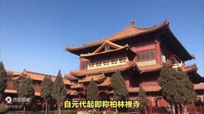 ​石家庄10大免费景点下集