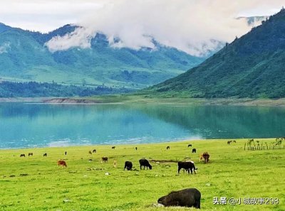 ​冶勒湖一个美轮美奂，世外桃源般的地方，露营体验夜晚漫天星空
