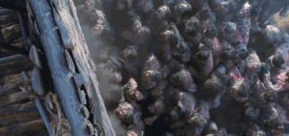 韩剧丧尸片最新推荐感人（丧尸吃人权谋宫斗）(20)