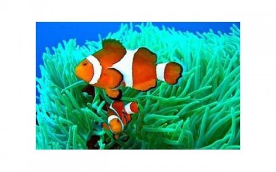 ​如何挽回失去的爱情，如何挽回失去的爱情咒语