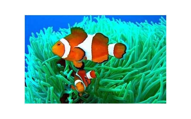 如何挽回失去的爱情，如何挽回失去的爱情咒语