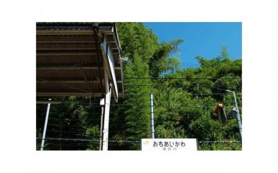 ​如何解决网络虚假信息问题